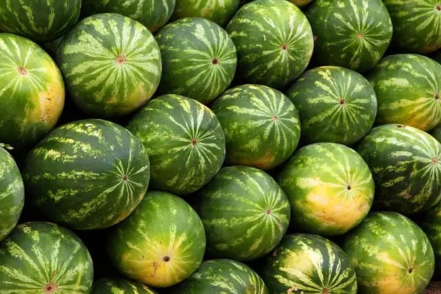 Les tendances des produits bio en ligne à suivre