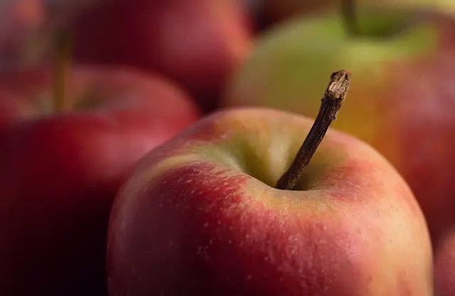 Comment optimiser vos achats bio en ligne pour des économies