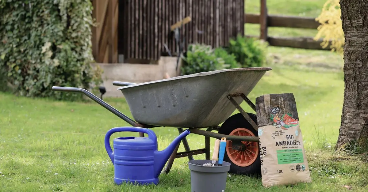 Les astuces indispensables pour acheter bio en ligne