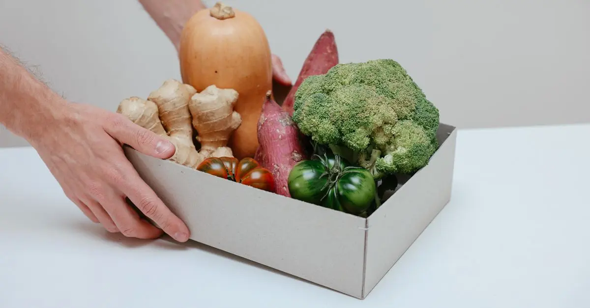 Comment choisir un abonnement bio en ligne adapté