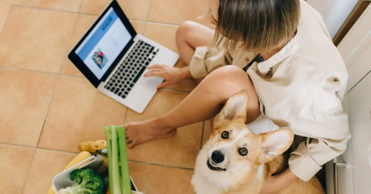 Comment optimiser vos achats bio en ligne pour gagner du temps
