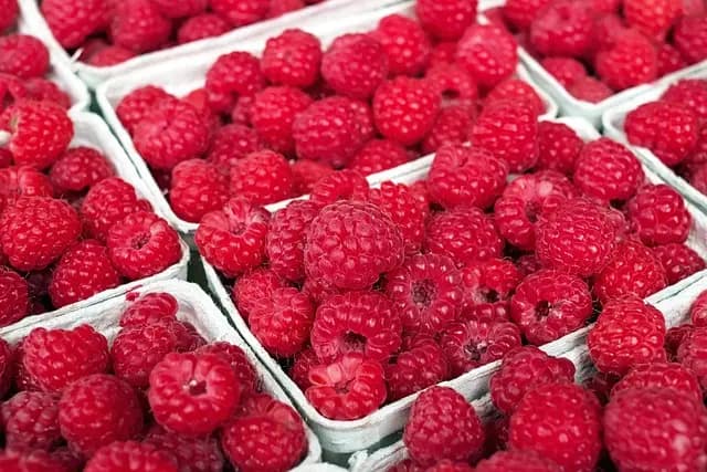 Comment bien choisir ses fruits bio en ligne : guide pratique