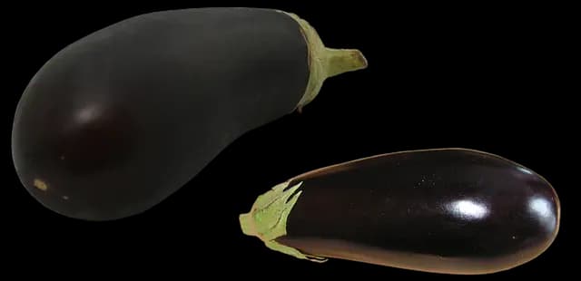 Comment bien choisir des fruits et légumes bio en ligne