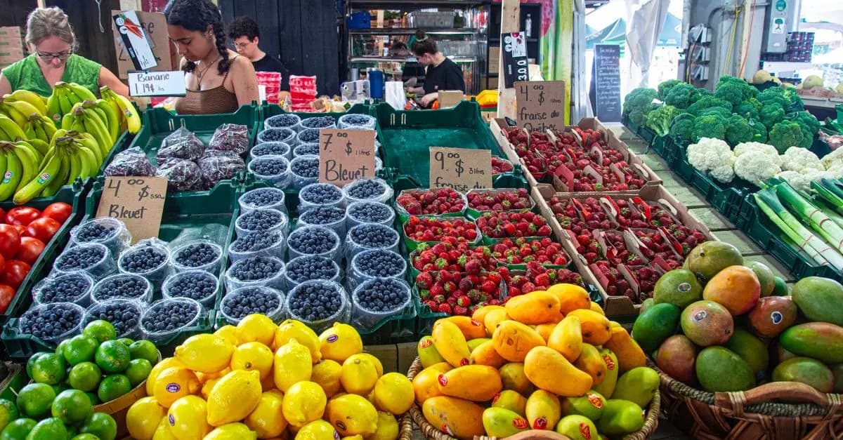 Les meilleures astuces pour choisir des produits bio en ligne