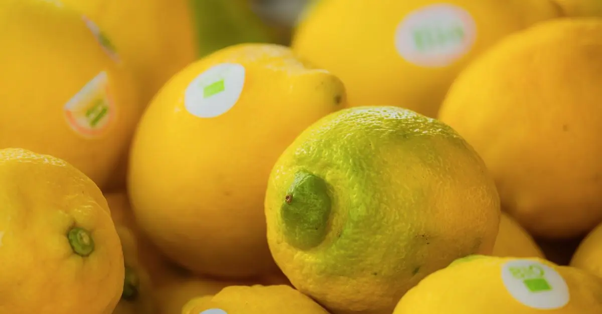 Comparatif : aliments bio vs conventionnels