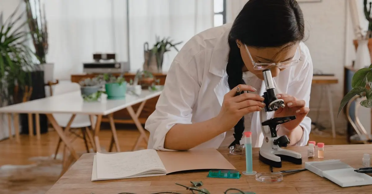 Comment fonctionne l'agriculture bio en ligne