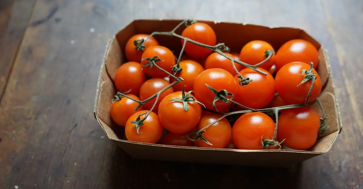 Les meilleures box de produits bio en ligne à découvrir