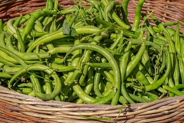 Comment bien évaluer la qualité des produits bio en ligne