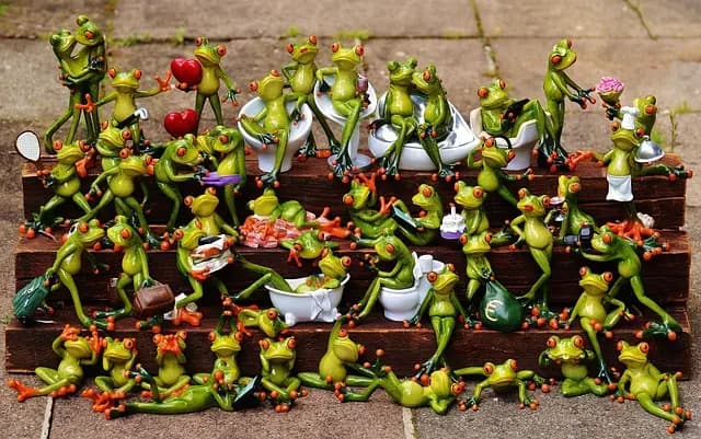Comment choisir des produits bio en ligne : le guide complet