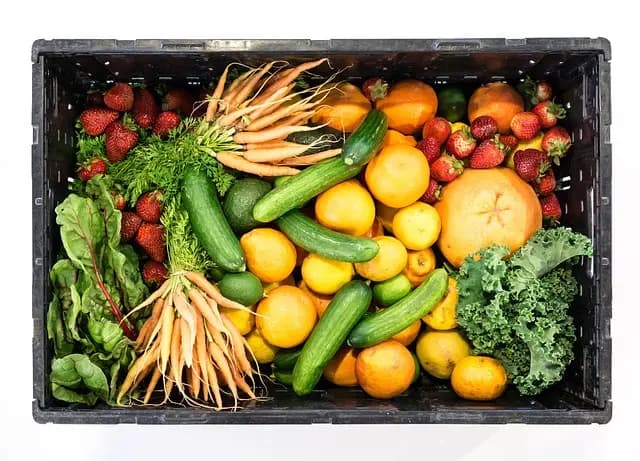 Les meilleures box bio en ligne à découvrir