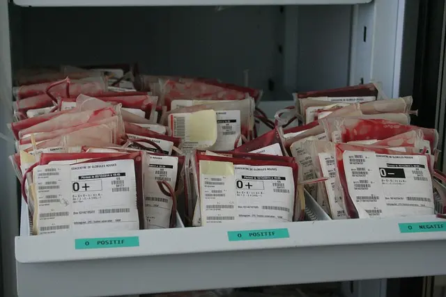 Les défis du marché bio en ligne et comment les surmonter