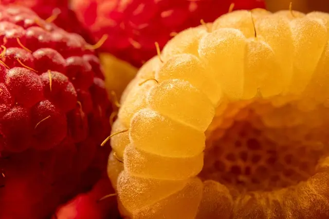 Comment choisir des produits bio en ligne : guide pratique