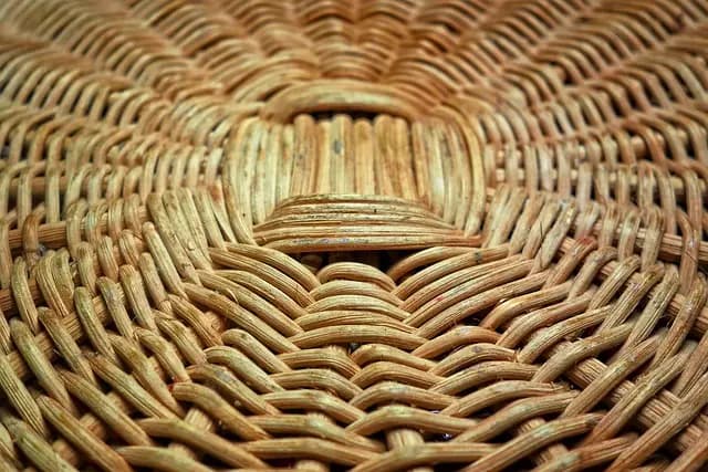 Les meilleures pratiques pour évaluer les produits bio en ligne