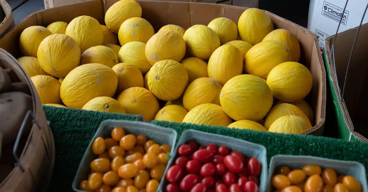 Les meilleures box bio en ligne pour une alimentation saine