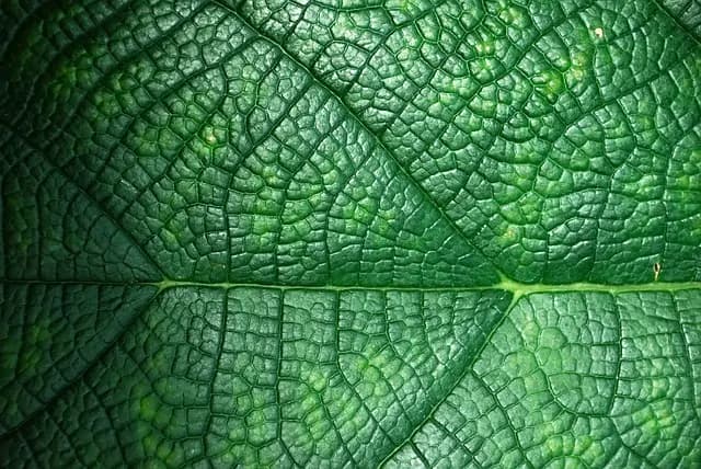 10 conseils pour acheter des produits bio en ligne sans se tromper
