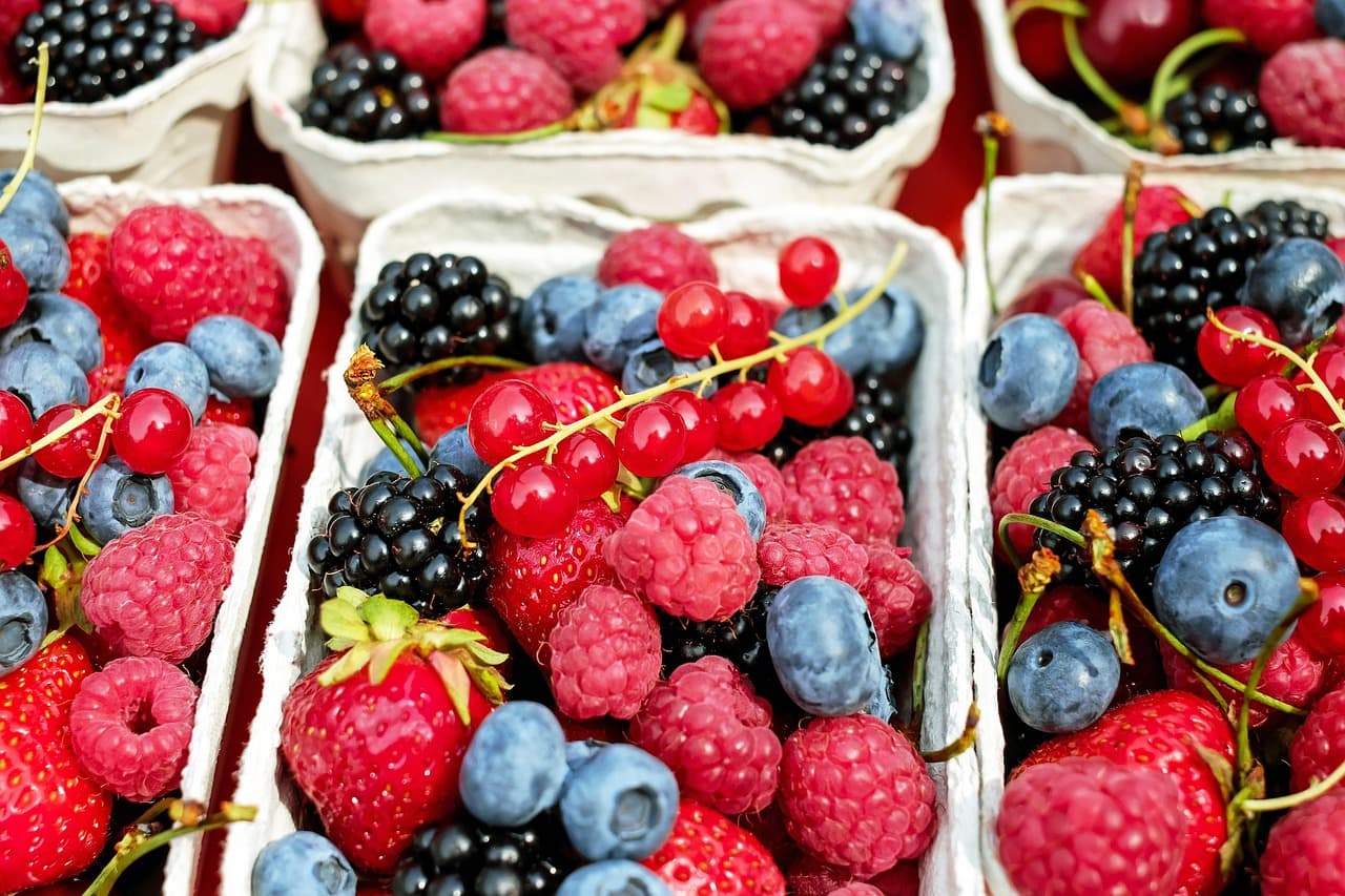 Comment choisir des produits bio en ligne pour votre bien-être