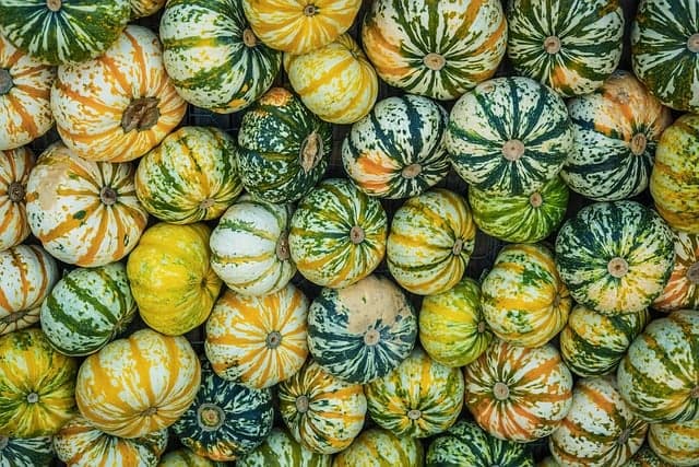 Pourquoi choisir des produits bio en ligne pour votre santé
