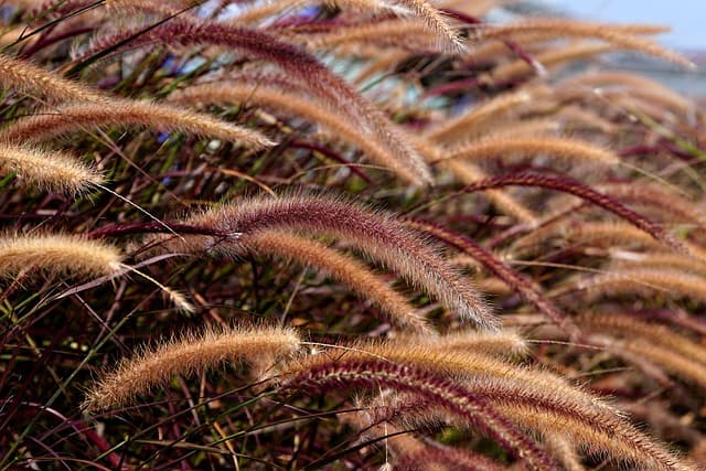 Comment bien choisir ses emballages pour produits bio en ligne