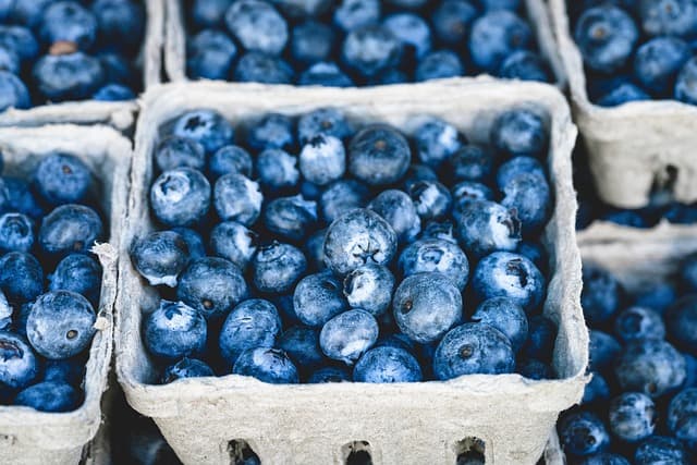 Les impacts des plateformes bio en ligne sur les producteurs locaux