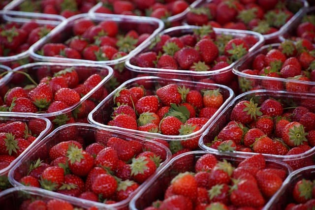 Les meilleures astuces pour choisir des produits bio en ligne