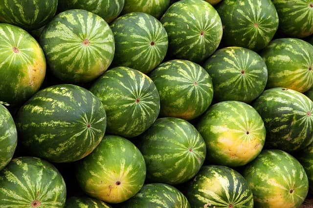 Les tendances émergentes du bio en ligne à suivre