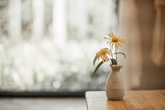Comment choisir des cosmétiques bio en ligne de qualité